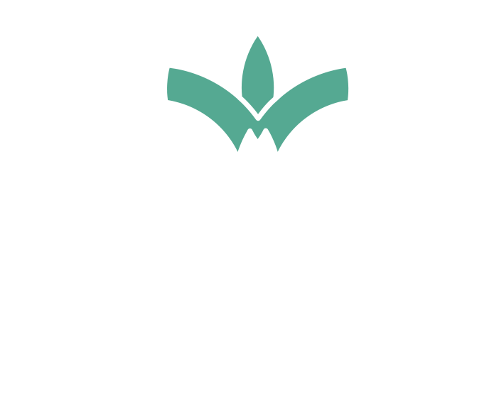 Clean Recipes